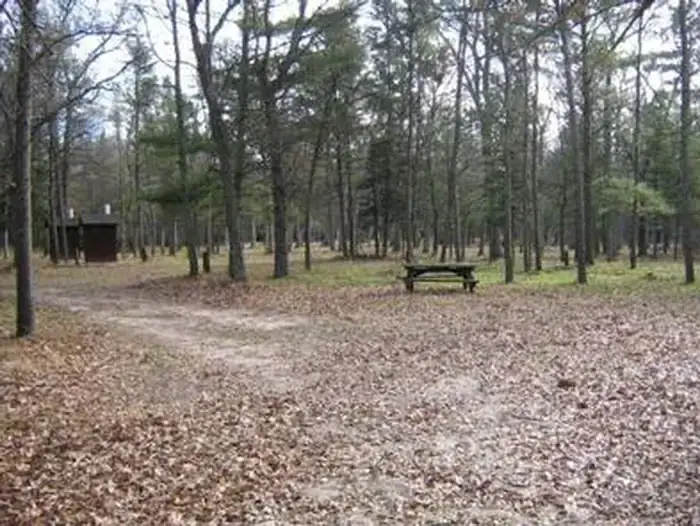 Camping near Pine River Campground: South Branch Trail Camp Group Site, Glennie, Michigan