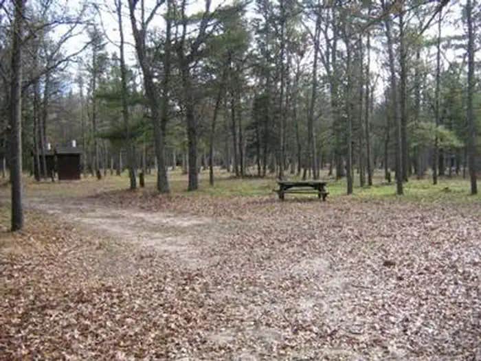 Camper submitted image from South Branch Trail Camp Group Site - 1