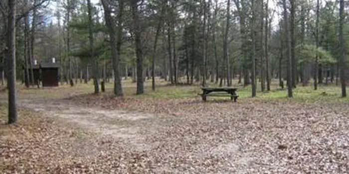 Camper submitted image from South Branch Trail Camp Group Site