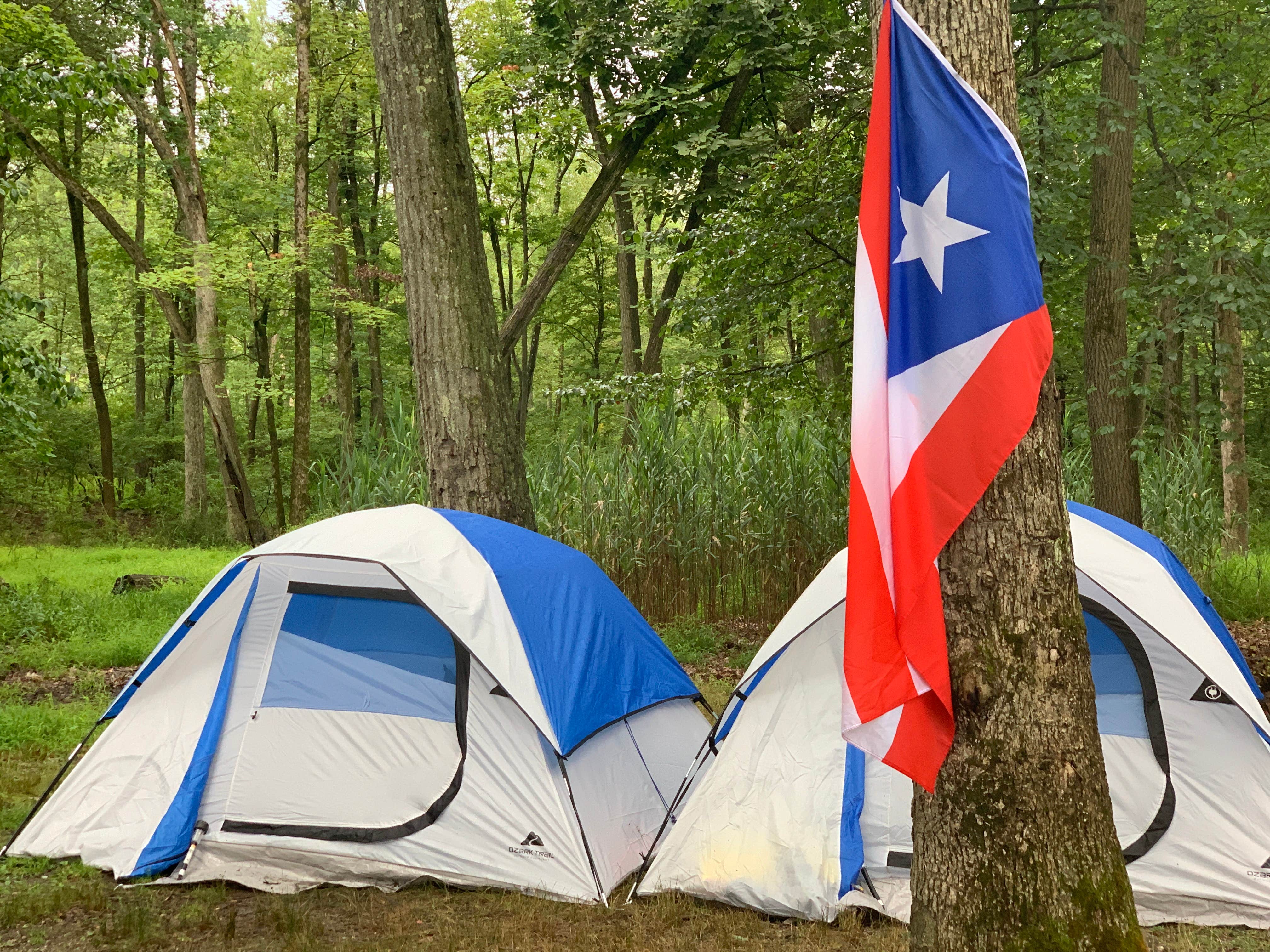 Karen K.'s photo at New York City North/Newburgh KOA near New York, NY