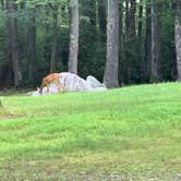 Review photo of Beaver Pond Campground — Harriman State Park by Karen K., August 9, 2019