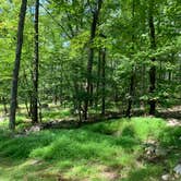 Review photo of Beaver Pond Campground — Harriman State Park by Karen K., August 9, 2019