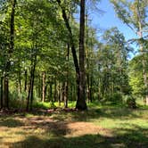 Review photo of Beaver Pond Campground — Harriman State Park by Karen K., August 9, 2019