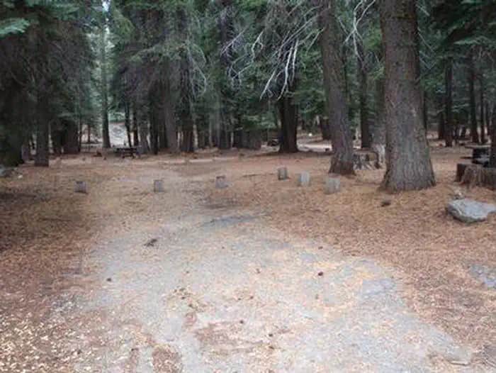 Camper submitted image from Lower Billy Creek - 1