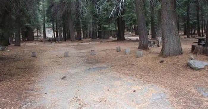 Lower Billy Creek