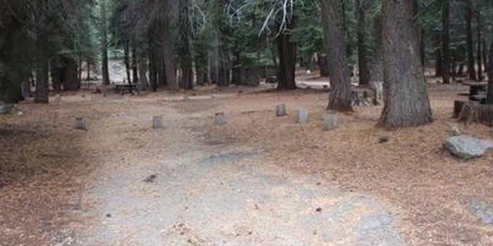 Camper submitted image from Lower Billy Creek