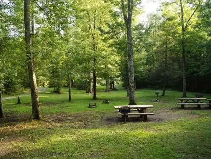 Camping near Top of the World RV: Mcnabb Creek Group, Tellico Plains, Tennessee