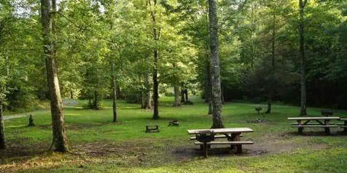 Camper submitted image from Mcnabb Creek Group