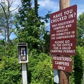 Review photo of Beaver Pond Campground — Harriman State Park by Karen K., August 9, 2019