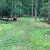 Review photo of Beaver Pond Campground — Harriman State Park by Karen K., August 9, 2019