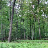 Review photo of Beaver Pond Campground — Harriman State Park by Karen K., August 9, 2019