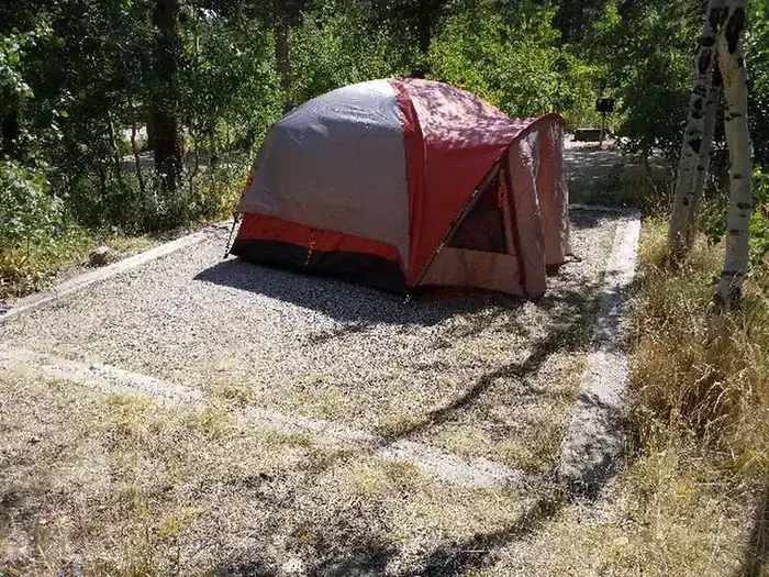 Camper-submitted photo at Olive Ridge near Allenspark, CO