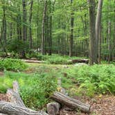 Review photo of Beaver Pond Campground — Harriman State Park by Karen K., August 9, 2019