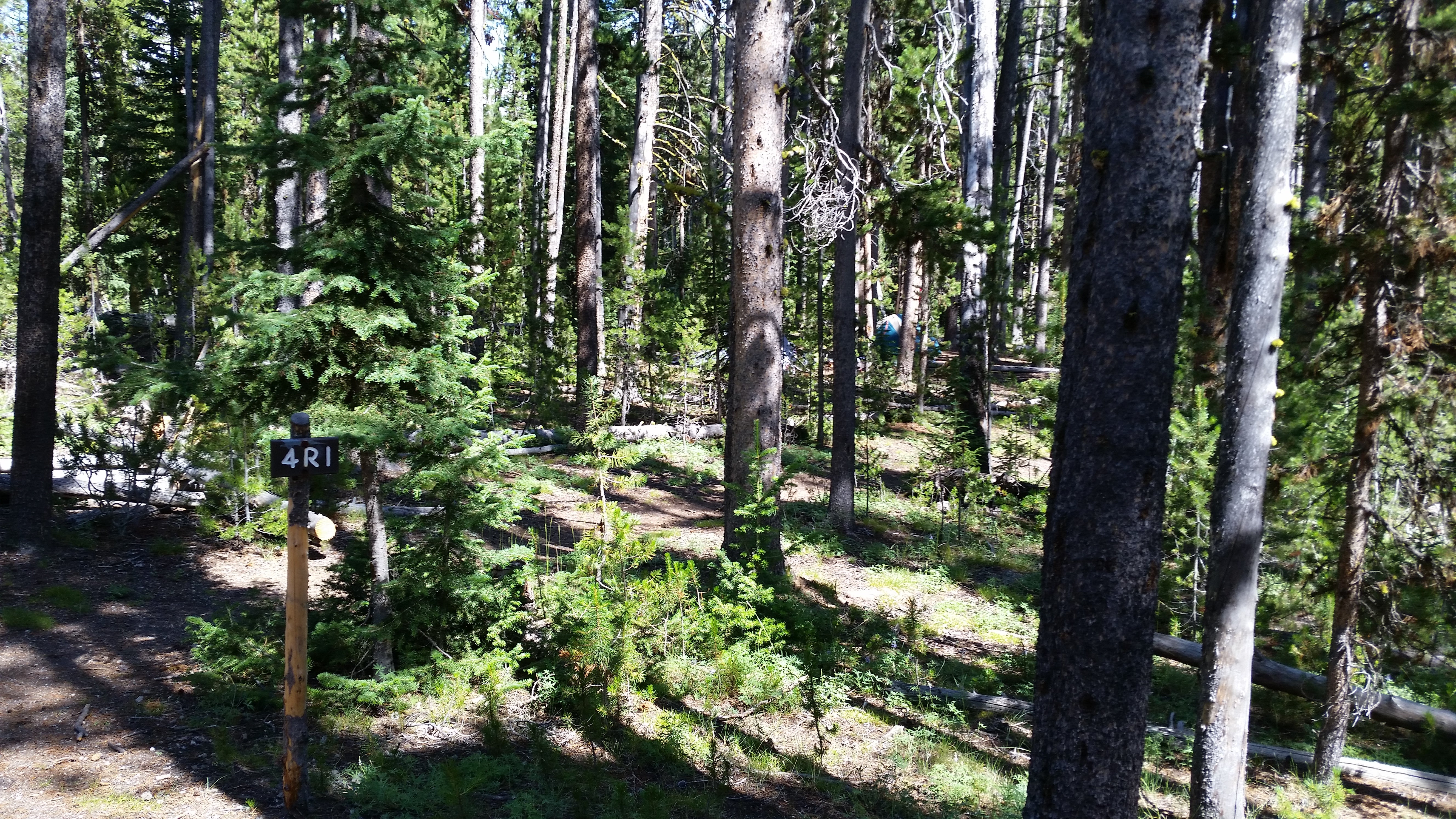 Camper submitted image from 4R1 Yellowstone National Park Backcountry — Yellowstone National Park - 2