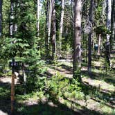 Review photo of 4R1 Back country campsite by Dexter I., August 9, 2019