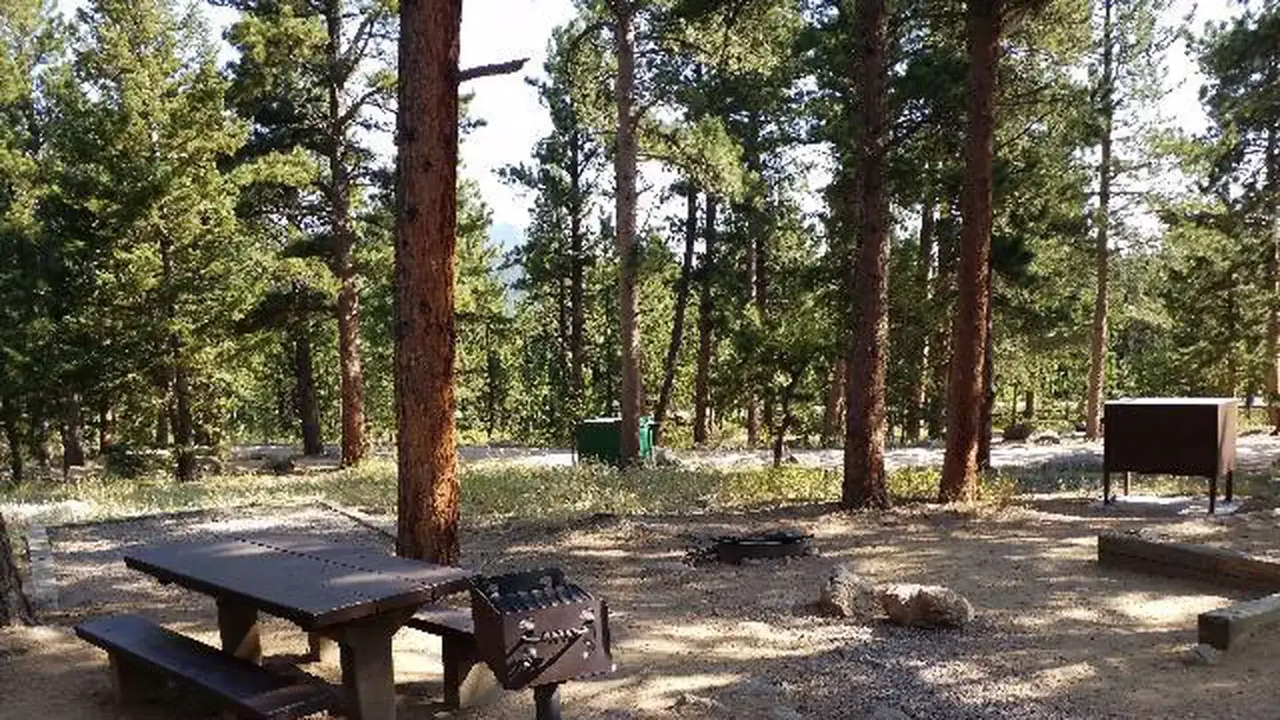 Camper-submitted photo at Olive Ridge near Allenspark, CO