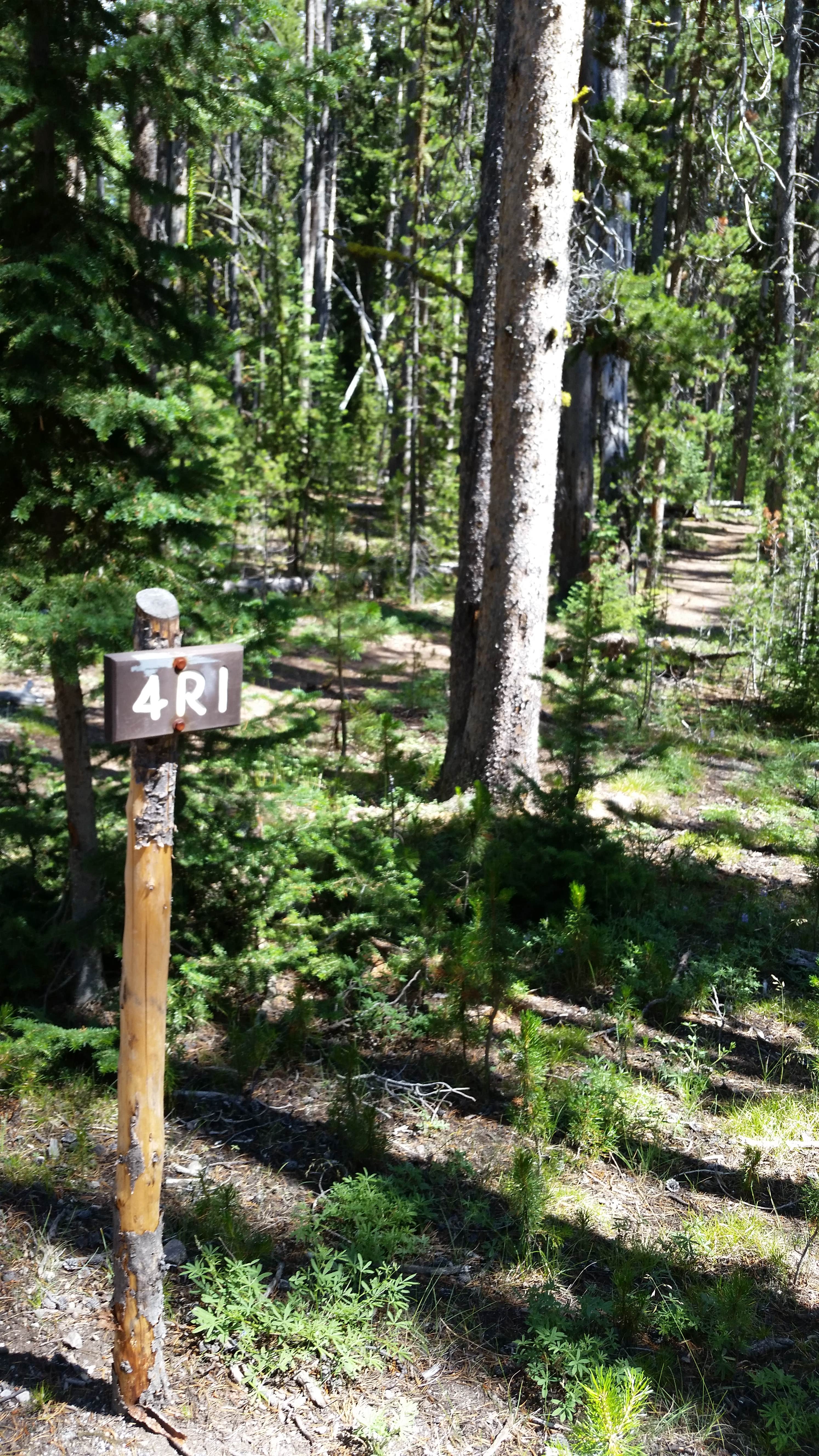 Camper-submitted photo at 4R1 Yellowstone National Park Backcountry — Yellowstone National Park near Yellowstone National Park