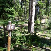 Review photo of 4R1 Back country campsite by Dexter I., August 9, 2019