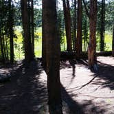 Review photo of 4R1 Back country campsite by Dexter I., August 9, 2019