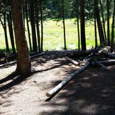 Review photo of 4R1 Back country campsite by Dexter I., August 9, 2019