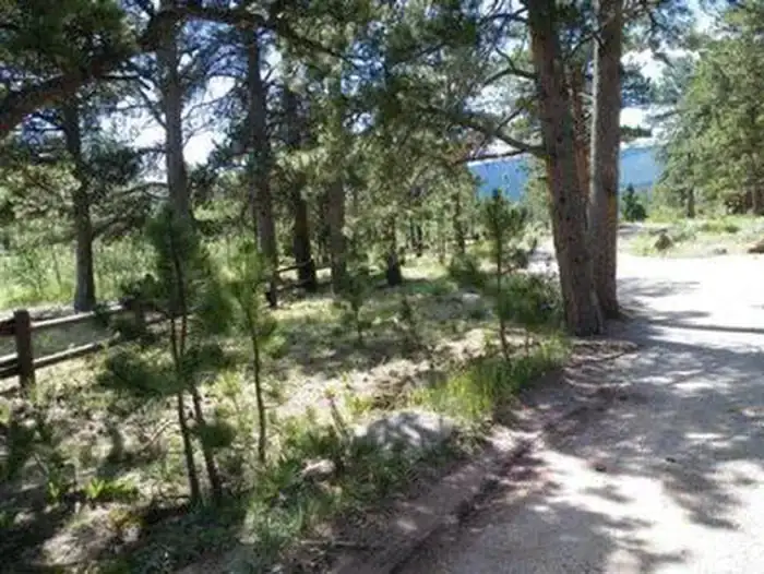 Camper-submitted photo at Olive Ridge near Allenspark, CO