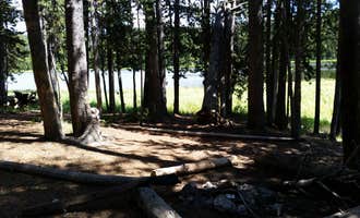 Camping near Canyon Campground — Yellowstone National Park: 4R1 Yellowstone National Park Backcountry — Yellowstone National Park, Yellowstone National Park, Wyoming