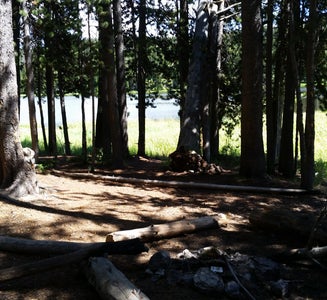 Camper-submitted photo from 4R1 Yellowstone National Park Backcountry — Yellowstone National Park
