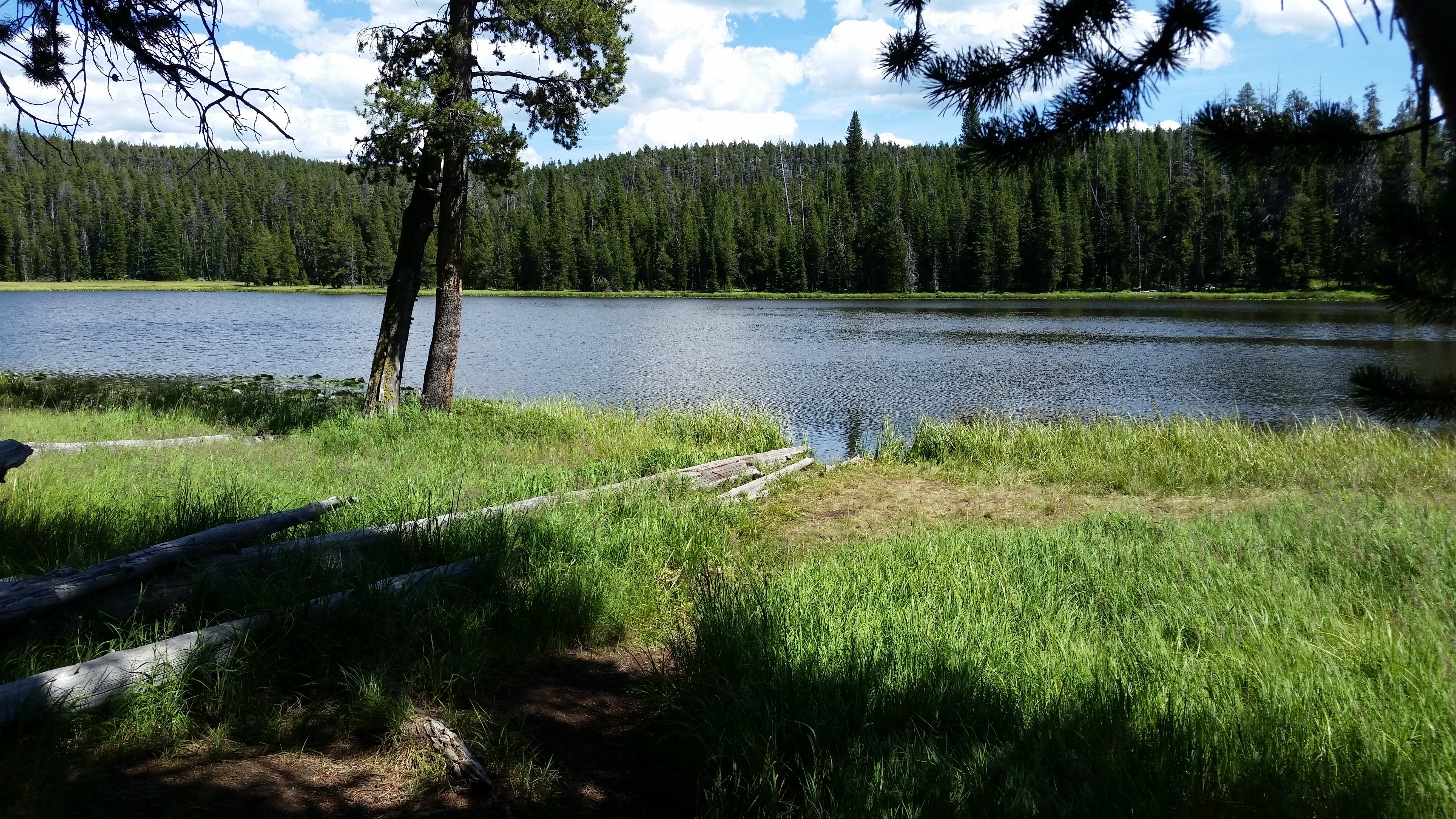 Camper submitted image from 4R1 Yellowstone National Park Backcountry — Yellowstone National Park - 3