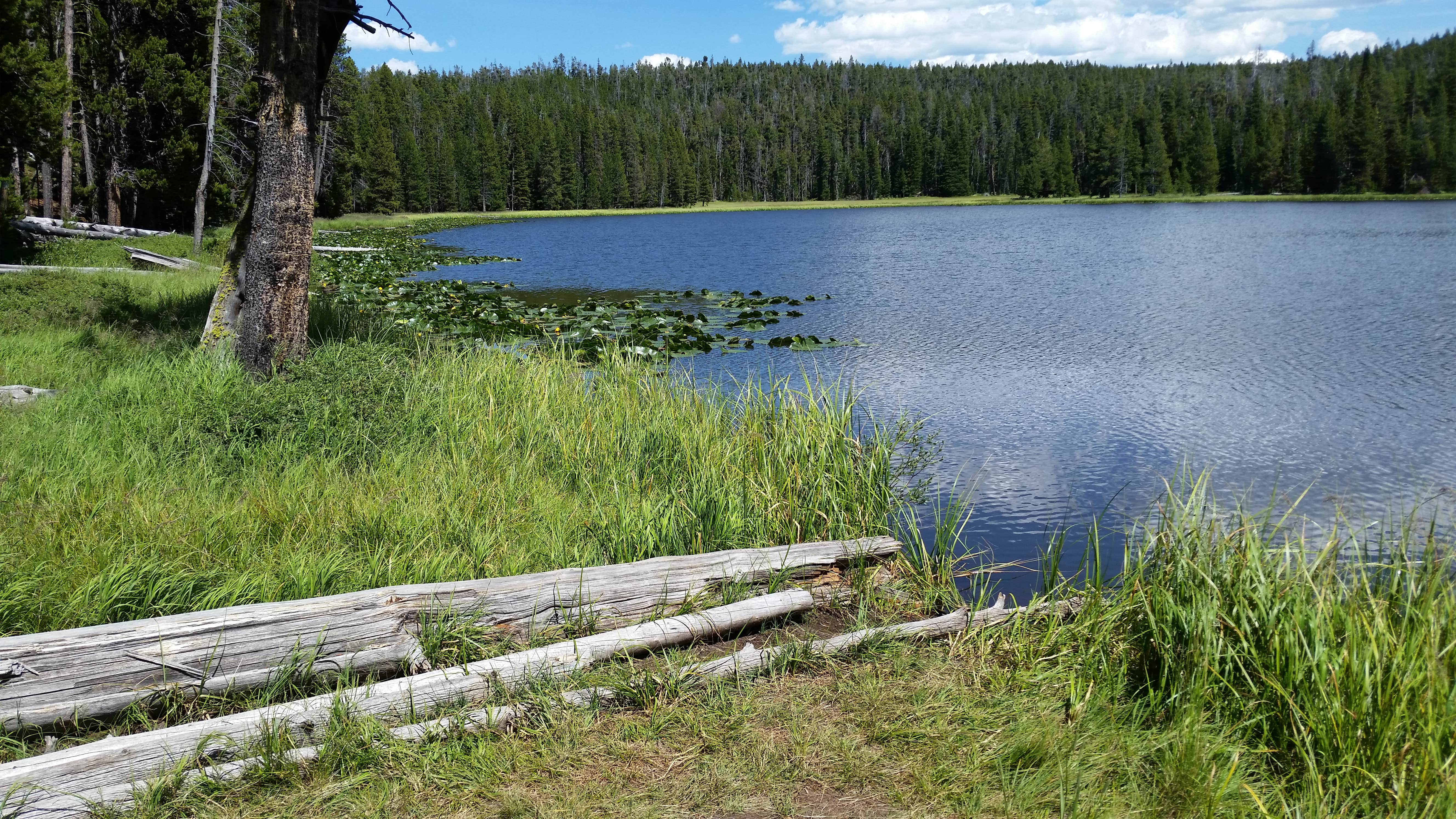 Camper-submitted photo at 4R1 Yellowstone National Park Backcountry — Yellowstone National Park near Yellowstone National Park