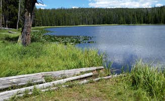 Dexter I.'s photo of a dispersed camping area at 4R1 Yellowstone National Park Backcountry — Yellowstone National Park near Yellowstone National Park