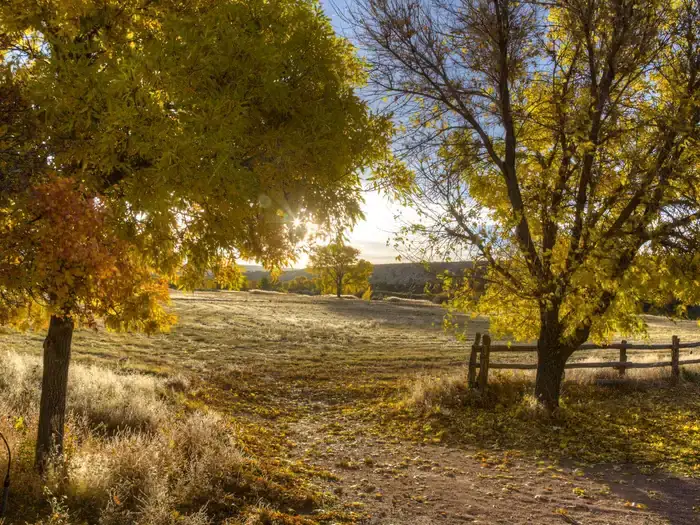 Bridge Hollow Campground — Browns Park Recreation Area