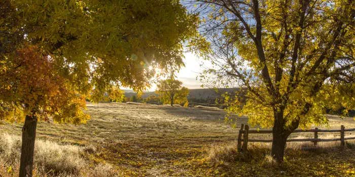 Camper submitted image from Bridge Hollow Campground — Browns Park Recreation Area