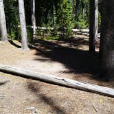 Review photo of 4R1 Back country campsite by Dexter I., August 9, 2019