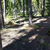 Review photo of 4R1 Back country campsite by Dexter I., August 9, 2019