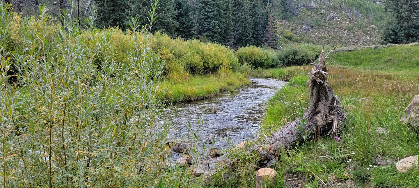 Camping near Gooseberry Creek Campground: Chute Group, Fairview, Utah
