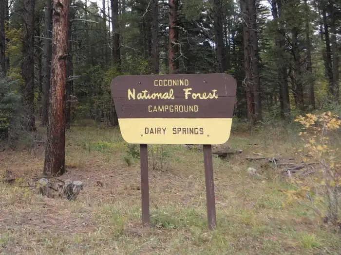 Camping near Pinegrove Campground: Dairy Springs Campground, Mormon Lake, Arizona
