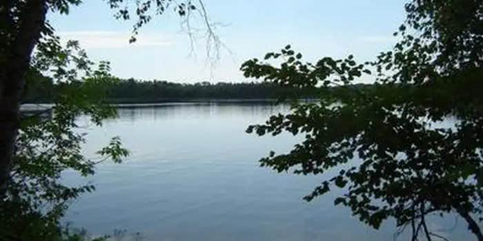 Camper submitted image from Clubhouse Lake