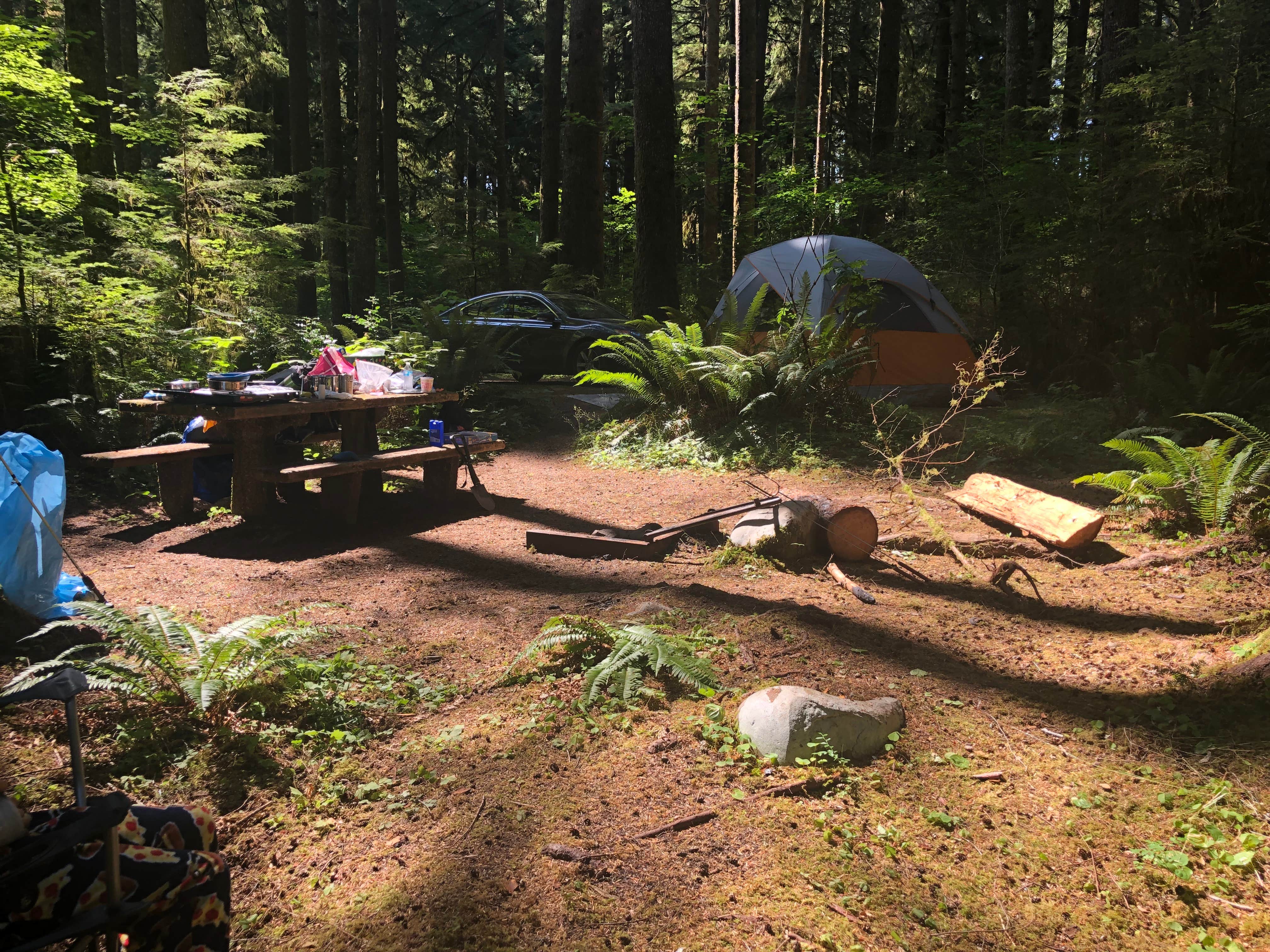 ryan C.'s photo at Klahowya Campground near Neah Bay, WA