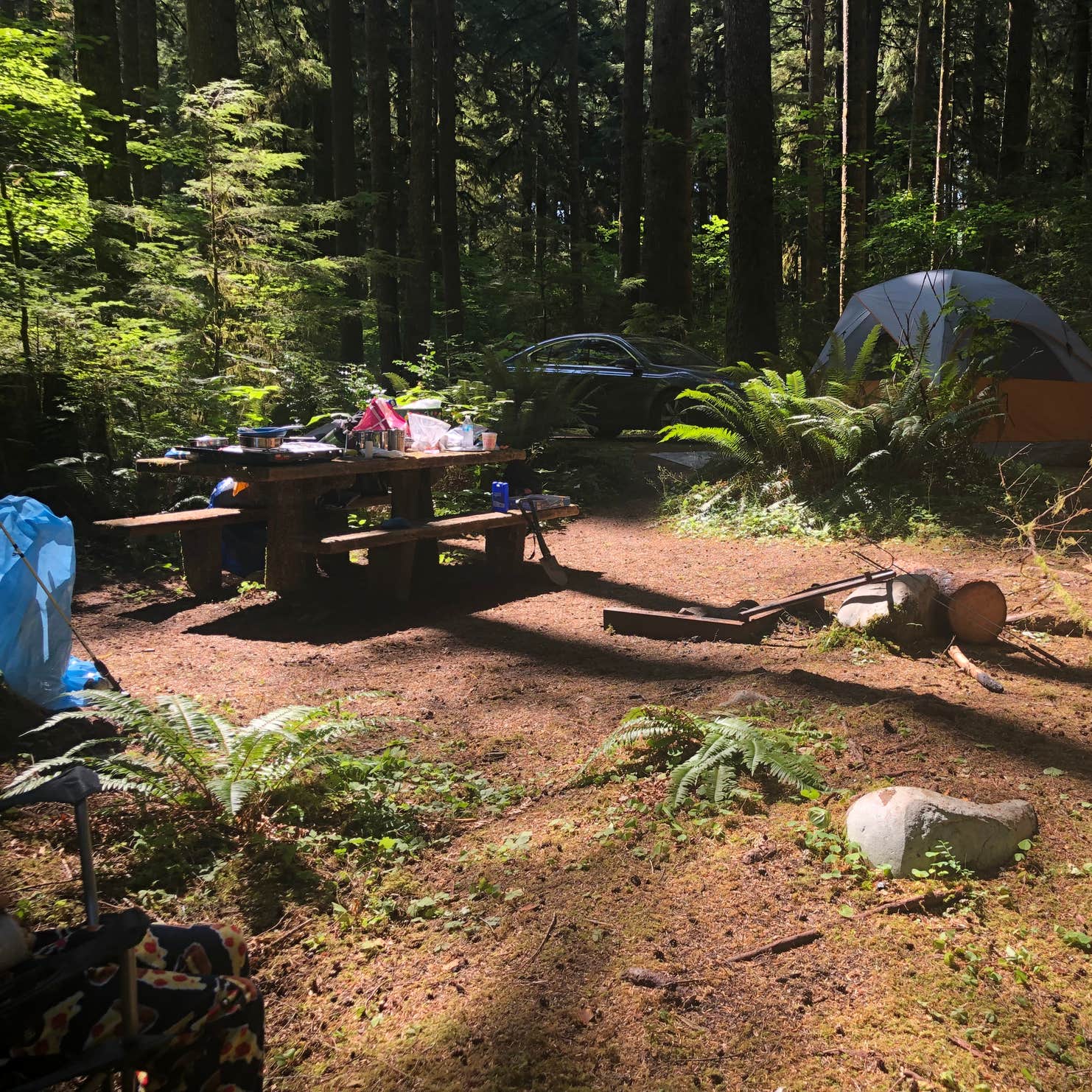 Klahowya Campground Camping | The Dyrt