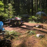 Review photo of Klahowya Campground by ryan C., August 9, 2019