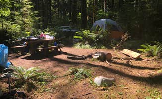 ryan C.'s photo at Klahowya Campground near Beaver, WA