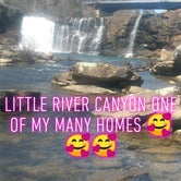 Review photo of Little River RV Park and Campground by Haley H., August 9, 2019