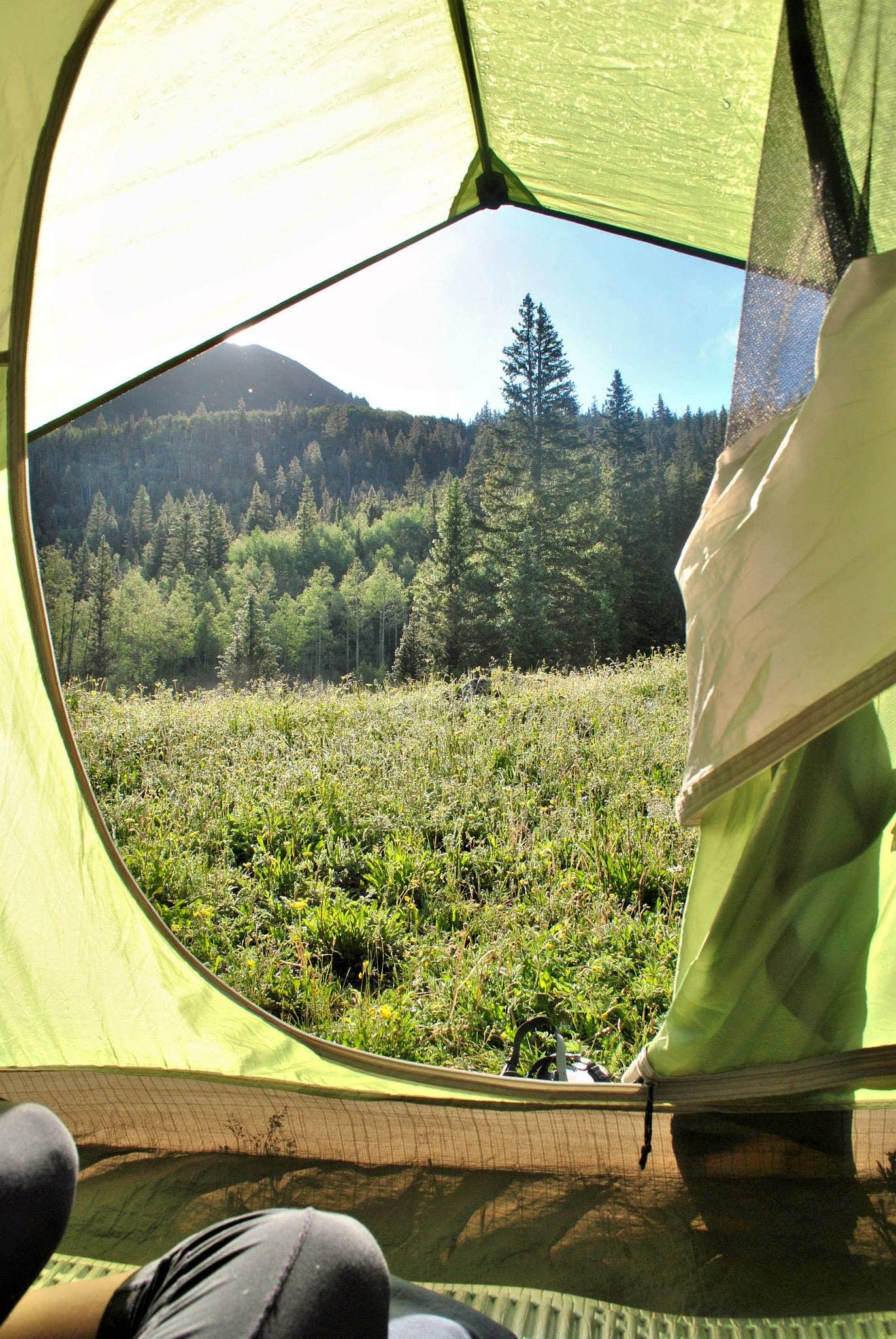 Camper submitted image from Alta Lakes Campground (Dispersed) - 2
