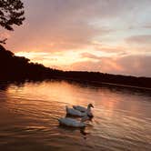 Review photo of Stonelick State Park Campground by Zoe S., August 9, 2019