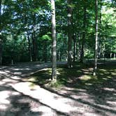 Review photo of Cadillac Woods Campground by Bret J., August 8, 2019