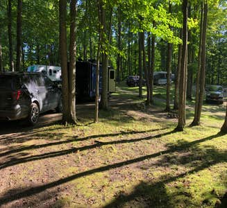 Camper-submitted photo from Cadillac Woods Campground
