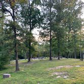 Review photo of Pickett CCC Memorial State Park Campground by Nate H., August 9, 2019