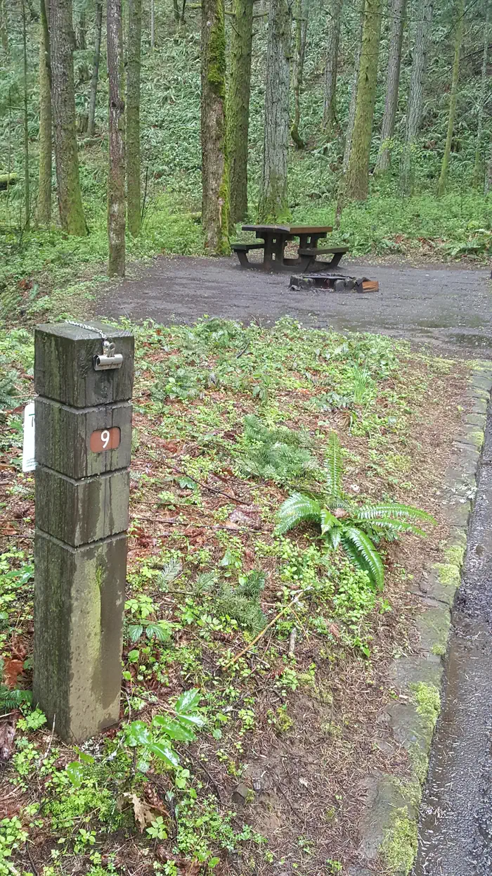 Camper-submitted photo at Wyeth Campground at the Gorge near Carson, WA