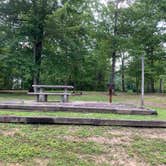 Review photo of Pickett CCC Memorial State Park Campground by Nate H., August 9, 2019