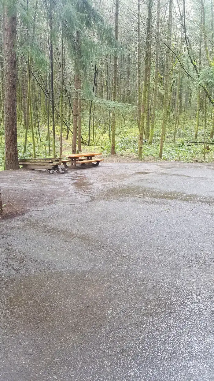 Camper-submitted photo at Wyeth Campground at the Gorge near Carson, WA